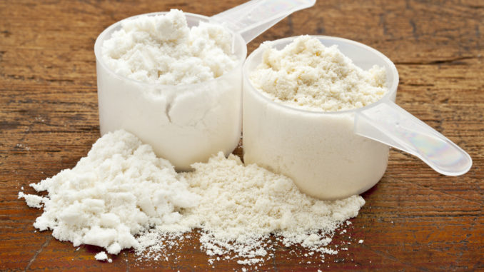what to look for in protein powder